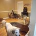 Robert Starr - Facebook