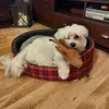 Robert Stanislawski - @robert.stanislaws6 - TikTok