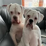 robert stansbury-lee - @robstanslee - Instagram