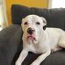 Robert Stansell - Facebook