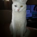 Robert Stark - @robertstark436 - Instagram