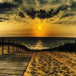 robert Statescu - @robert.statescu - Instagram
