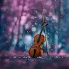 Rohit_Das - @robert_states - TikTok
