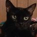 Robert StClair - Facebook