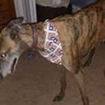 Robert Steadham - @robertsteadham - Instagram