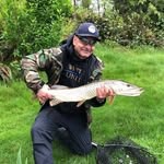 Robert Stecz - @robert.stecz.7 - Instagram
