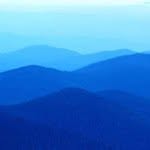 Robert Steele - @bsteele3363 - Instagram