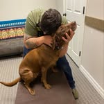Robert Steenbergen DC, cAVCA - @drrob_chiro - Instagram