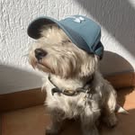 Robert Stehle - @robstehl - Instagram