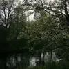 Robert Steigerwald - @robert.steigerwal - TikTok