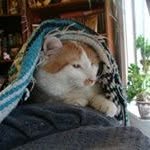 Roberta Steigerwalt - @robertasteigerwalt - Instagram