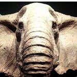 Robert Steiner - @robjet2014 - Instagram