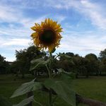 Steini 2 - @robert.steinhauser.14473 - Instagram