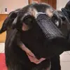 Robert Lustenberger - @robert.lustenberg - TikTok