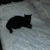Robert Stepanenko - @robertstepanenko7 - TikTok