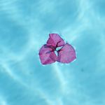 Robert Stępień - @robert1stepien - Instagram