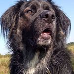 Robert Stepien - @robert.stepien.900 - Instagram