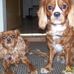 Bob Sterba - Facebook