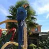 Robert Sterk683 - @robertsterk683 - TikTok