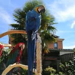 Robert Sterk - Facebook