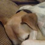 Robert Stirrup - Facebook