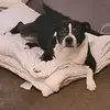 Robert Stocker - @robert.stocker53 - TikTok