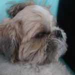 Robert Stockill - @stockillrobert - Instagram