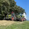 stocki - @stocki_robert - TikTok