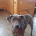 Robert Stoll - Facebook