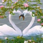 Robert Stoltz - @incredablephotos - Instagram