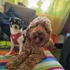 Roberto Stolze - @robertostolze - TikTok