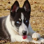 koltyn Robert stombaugh - @koltyn_robert21 - Instagram