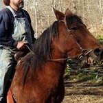 Robert Storer - @rwstorer - Instagram