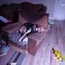 Robert Storer - Facebook