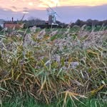 Robert Stothard - @robertstothard - Instagram