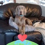 Robert Stott - @robert.stott.395 - Instagram