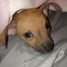 Robert Stough - Facebook