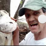 Robert Stout - @robertstout43 - Instagram