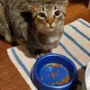 Robert Stowers - @robert.stowers - TikTok