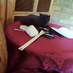 Inotaj - @robert.straka - Instagram