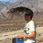 Robert Strang - @robbystrang - Instagram