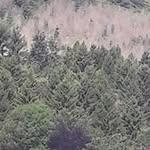 Robert Strange - @robert.strange.5095 - Instagram