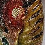 Robert Strasser - @strasserrobert - Instagram