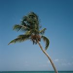 Robert Stratton - @robertstratton - Instagram