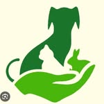 Robert  Stray life friend - @robert_stray_life_friend_ - Instagram