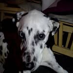 Robert Strayer - @robertstrayer - Instagram