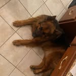Robert loves Justin - @roberts_streams - Instagram