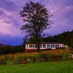 Robert Strehl - @robertstrehl - Instagram