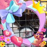 Robert Strine - @robertd4455s - Instagram