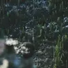 RobertStriplin1060 - @robertstriplin1060 - TikTok